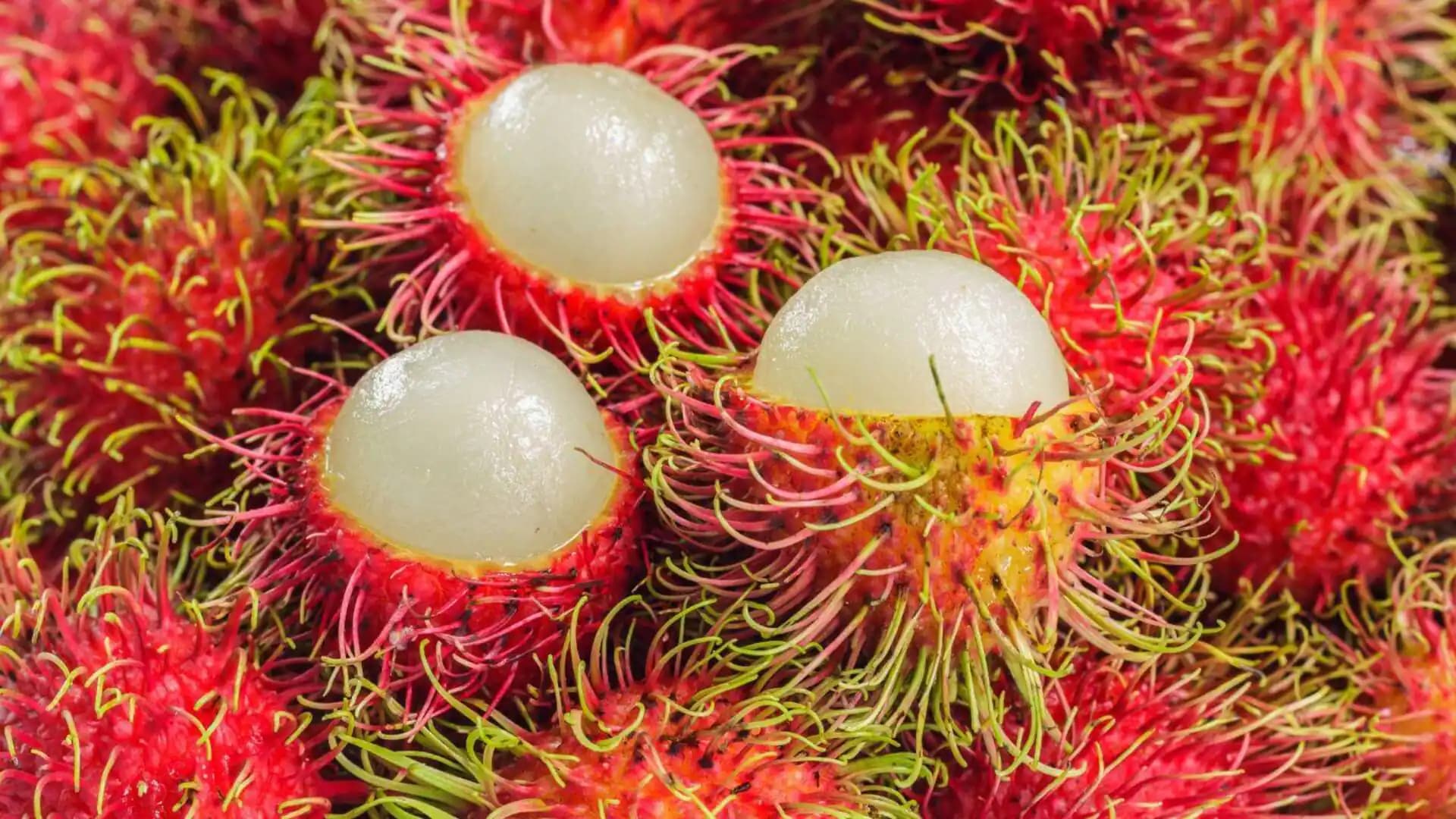 rambutan simerah